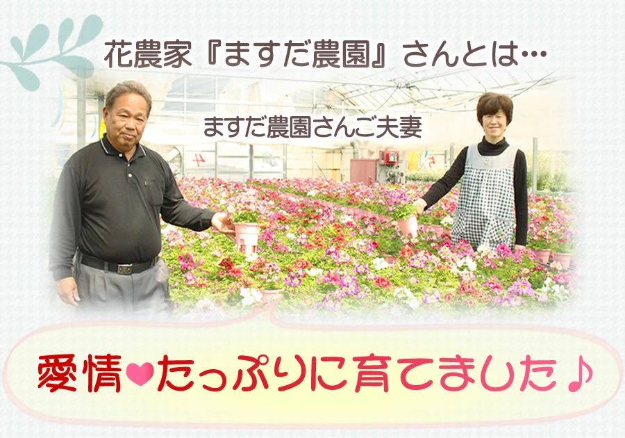 母の日 カーネーション ギフト 花とスイーツ ...の詳細画像5