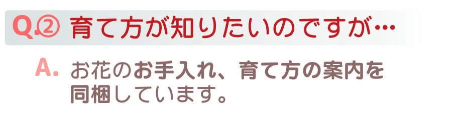Ｑ＆Ａ育て方