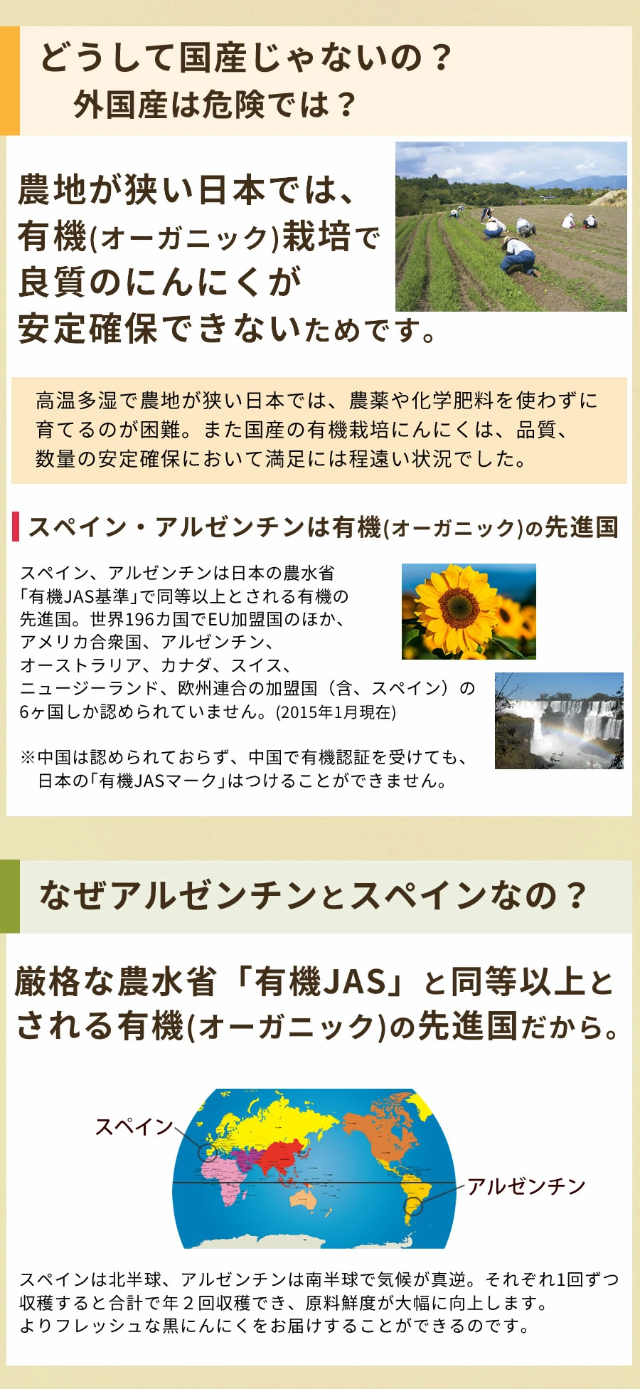 アルゼンチン スペイン
