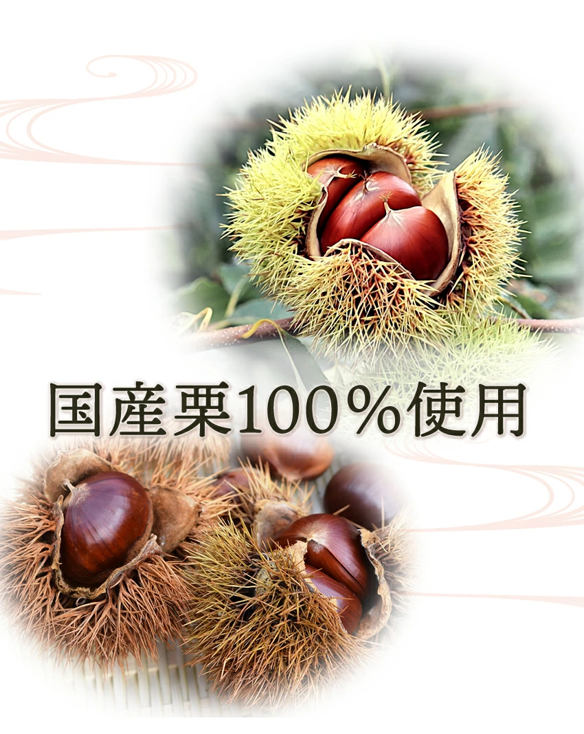 敬老の日 栗きんとん 和菓子 ギフト スイーツ 中津川 プレゼント 10個入り 誕生日 冷蔵 ちこり村 おせち 関連画像4
