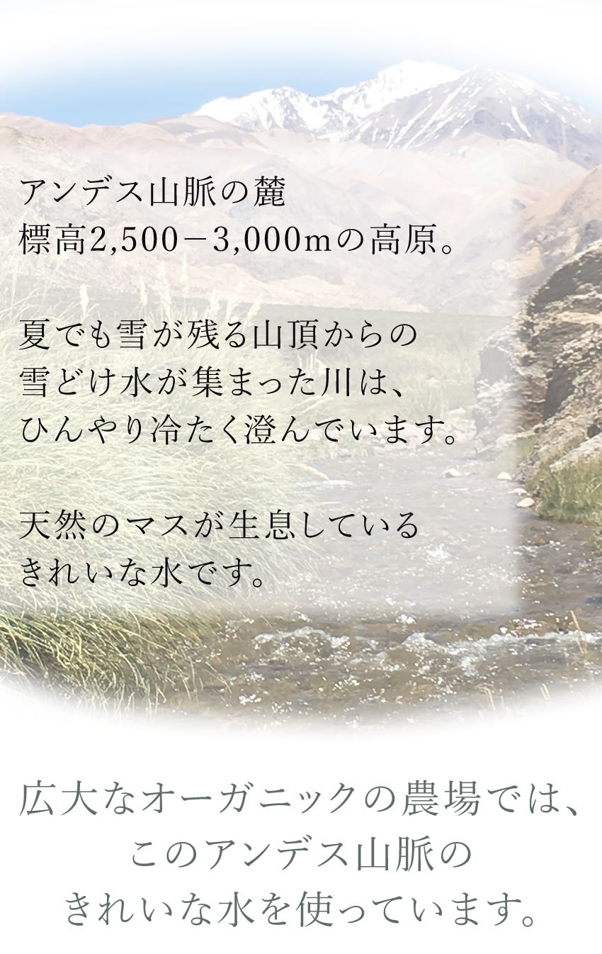 オーガニックの農場ではアンデス山脈のきれいな水を使用