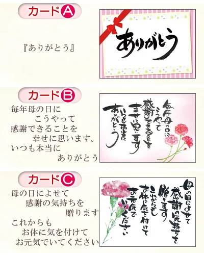 カード3種類