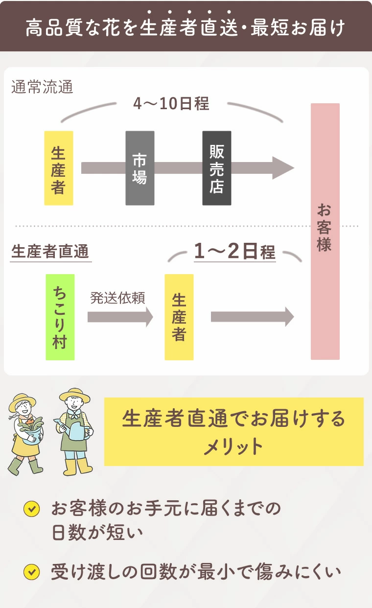 花農家直送だから鮮度が違う