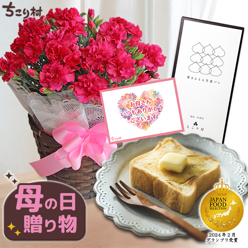 母の日 ギフト 花 セット 食べ物 花とスイーツ 2026 カーネーション