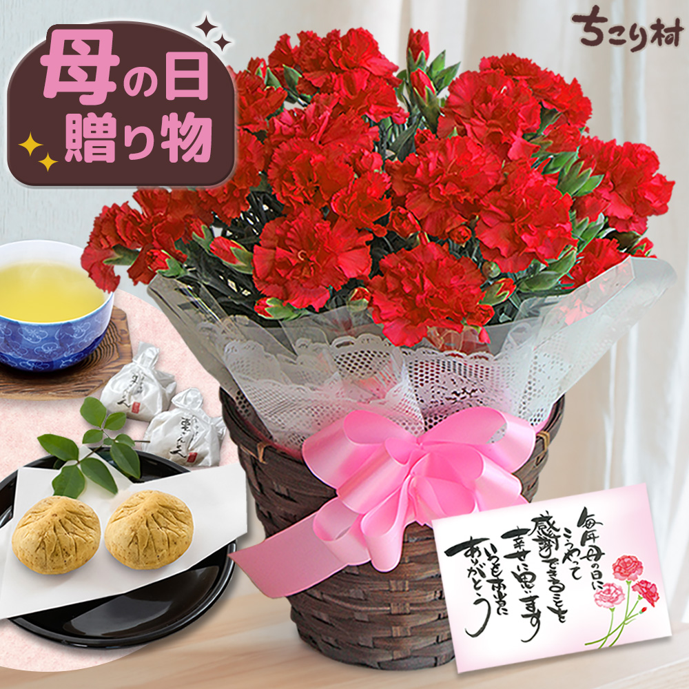 母の日 ギフト 花 スイーツ 和菓子 カーネーション 2026 プレゼント