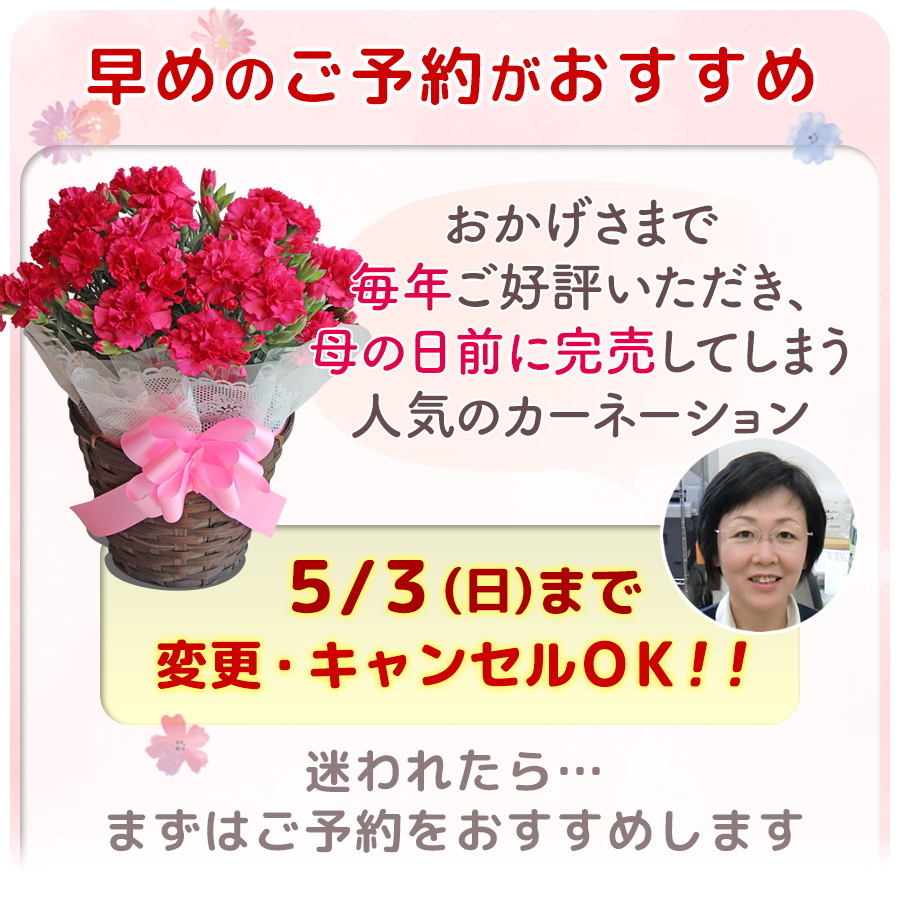 母の日 2026 花 スイーツ プレゼント 和菓子 カーネーション 鉢植え 5号鉢 栗きんとん 中津川 送料無料 ギフト ちこり村 | ブランド登録なし | 21