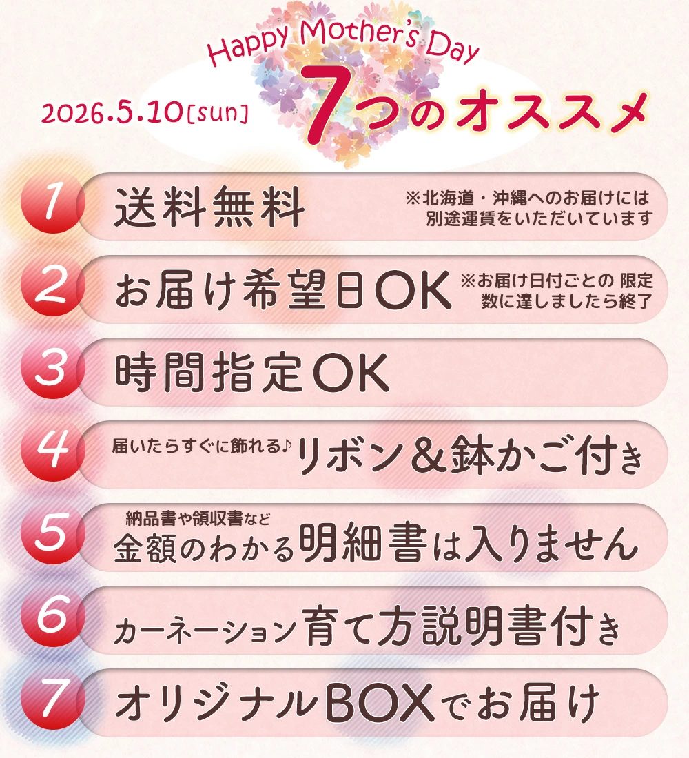 母の日 2026 花 スイーツ プレゼント 和菓子 カーネーション 鉢植え 5号鉢 栗きんとん 中津川 送料無料 ギフト ちこり村 | ブランド登録なし | 04