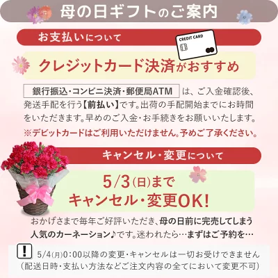 母の日 2026 ギフト 花 プレゼント カーネーション 5号鉢 選べるサプライズセット 送料無料 お届け日指定可 | ブランド登録なし | 17