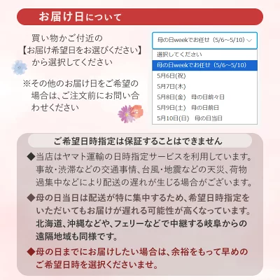 母の日 2026 花 スイーツ プレゼント 和菓子 カーネーション 鉢植え 5号鉢 栗きんとん 中津川 送料無料 ギフト ちこり村 | ブランド登録なし | 20