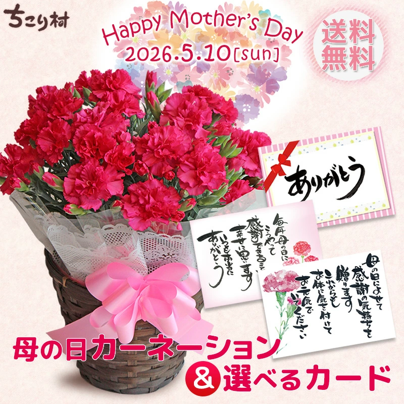 母の日 2026 花 カーネーション 鉢植え 5号鉢 プレゼント 送料無料 ギフト 選べるメッセージカード付き ちこり村 | ブランド登録なし | 04