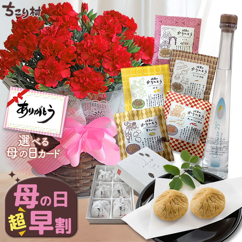 母の日 2026 ギフト 花 プレゼント カーネーション 5号鉢 選べるサプライズセット 送料無料 お届け日指定可 | ブランド登録なし