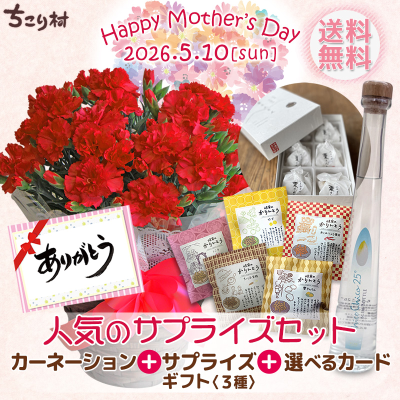 母の日 2026 ギフト 花 プレゼント カーネーション 5号鉢 選べるサプライズセット 送料無料 お届け日指定可 | ブランド登録なし | 01