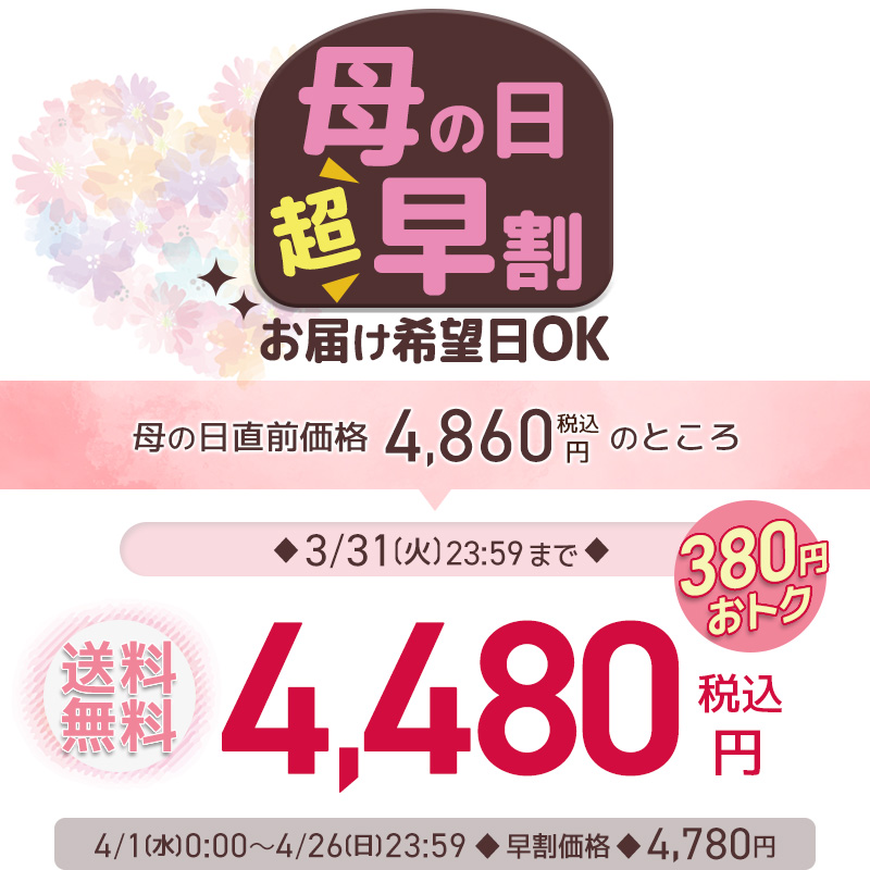 母の日 2026 ギフト 花 プレゼント カーネーション 5号鉢 選べるサプライズセット 送料無料 お届け日指定可 | ブランド登録なし | 02