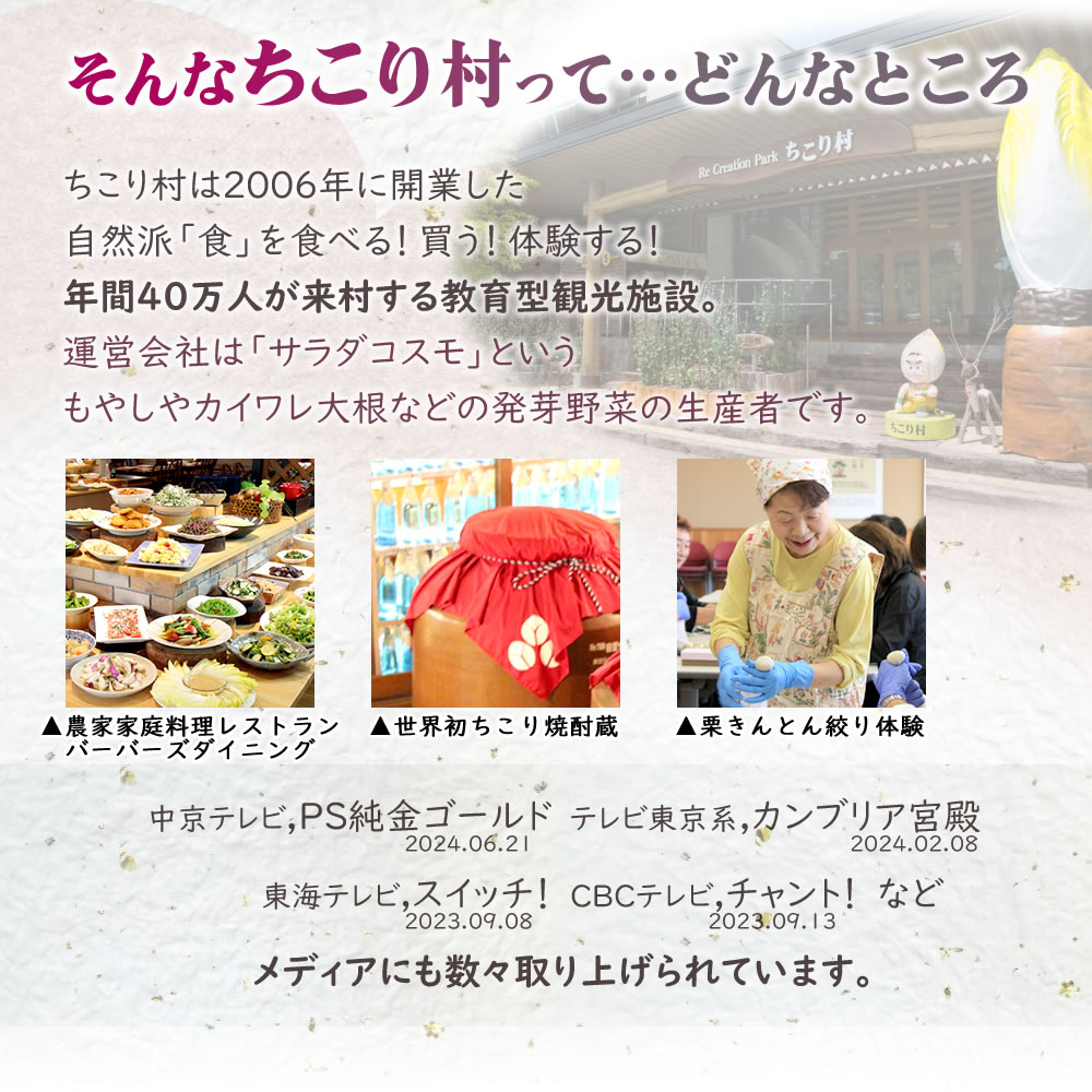 おせち料理 2026 冷蔵 ちこり村 和風 栗きんとん 田舎の手づくりおせち 二段重 薄味 3人前 4人前 中津川 | ちこり村 | 07