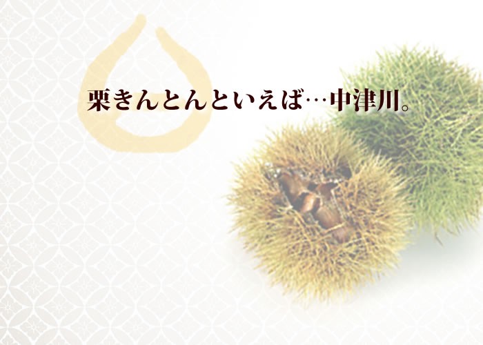 栗きんとん　中津川の栗ぎっしり　ギフトにオススメの新杵堂