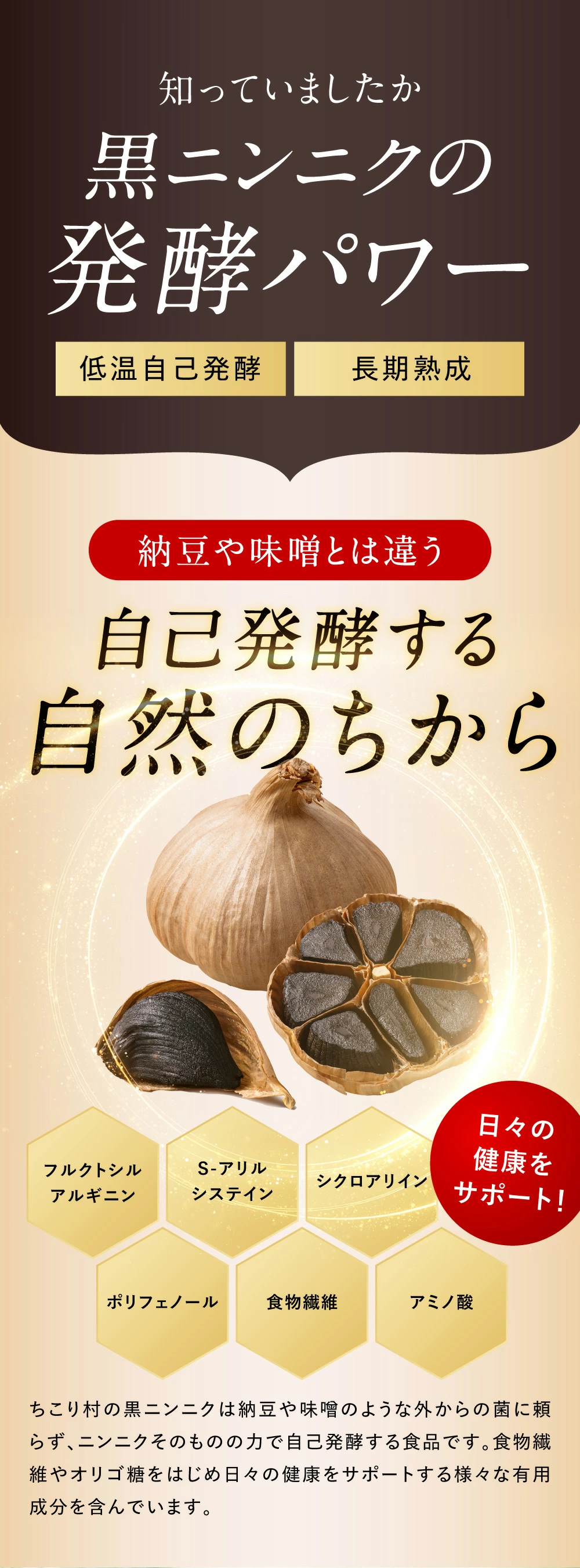ちこり村 有機黒にんにく