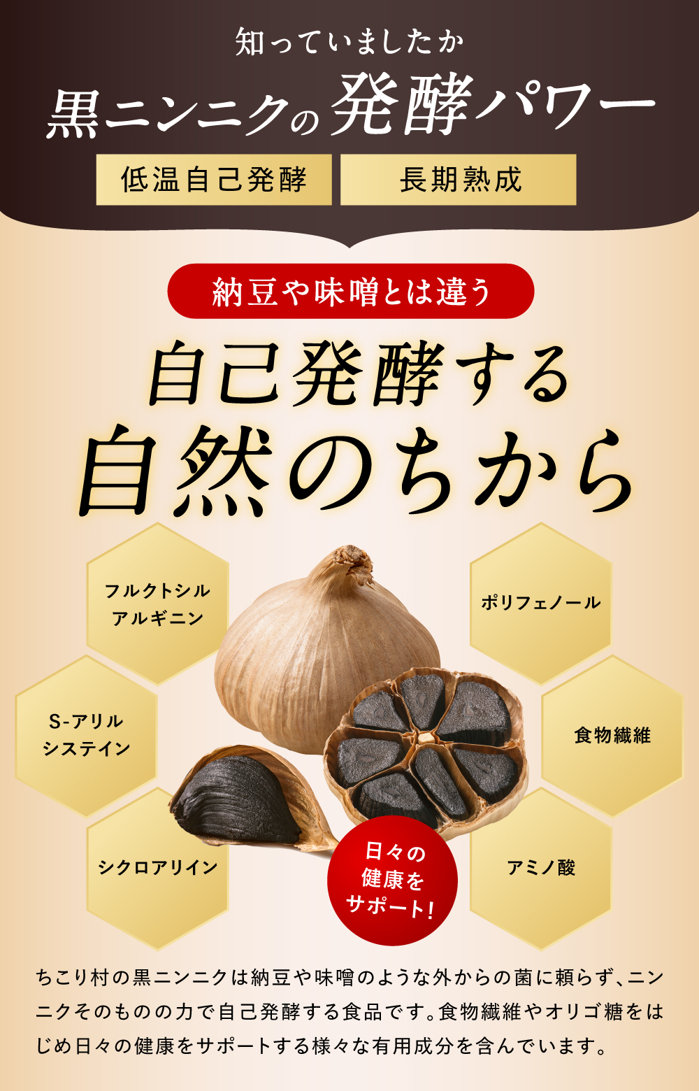 ちこり村 有機黒にんにく