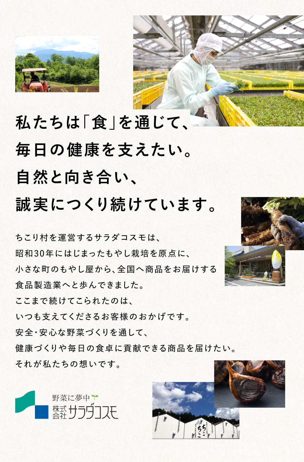 ちこり村 有機黒にんにく