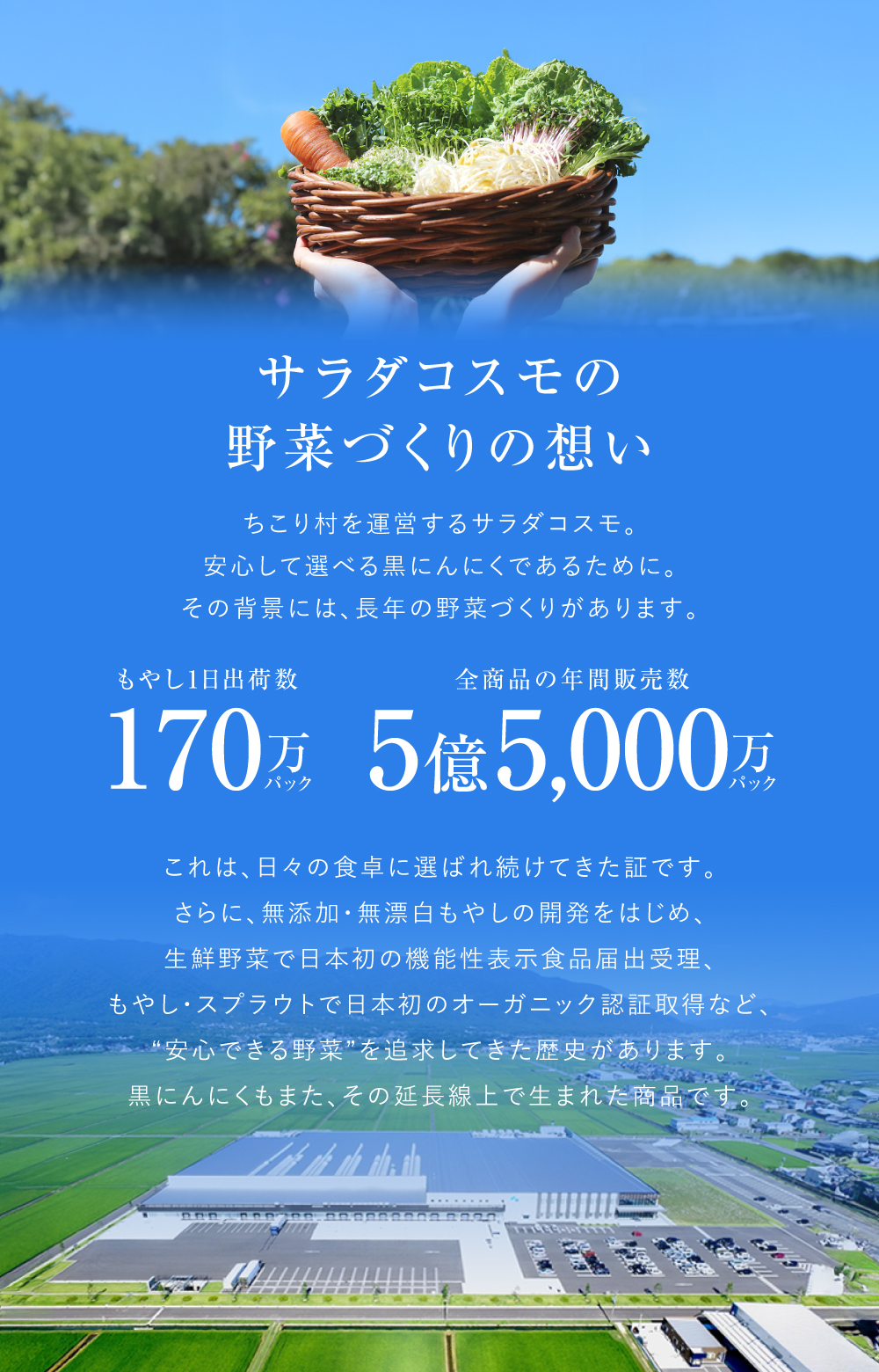黒にんにく 訳あり 熟成 にんにく BIOKURO FAMILY 送料無料 有機 バラ 1kg (500g×2袋) オーガニック ちこり村 自然食品 あすつく 関連画像5