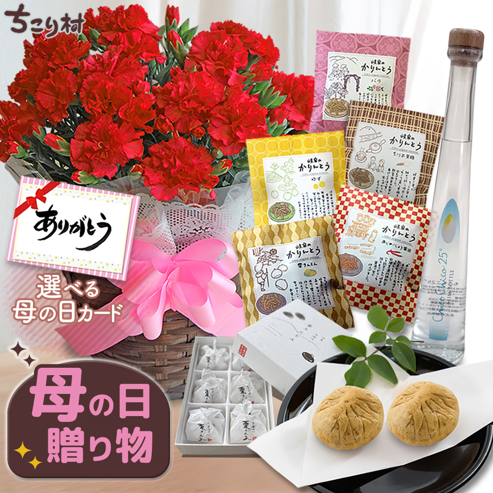 金額に応じて子株プレゼント！様　オーダー 母の日 2026 ギフト 花 プレゼント カーネーション 5号鉢 選べる