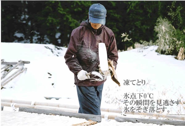 ちこり村　寒天　ぽっこりおなか解消の強い味方　寒天らーめん(しょうゆ味・とんこつ味)
