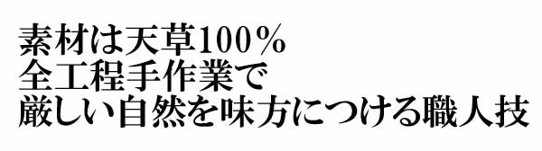 ちこり村　寒天　ぽっこりおなか解消の強い味方　寒天らーめん(しょうゆ味・とんこつ味)