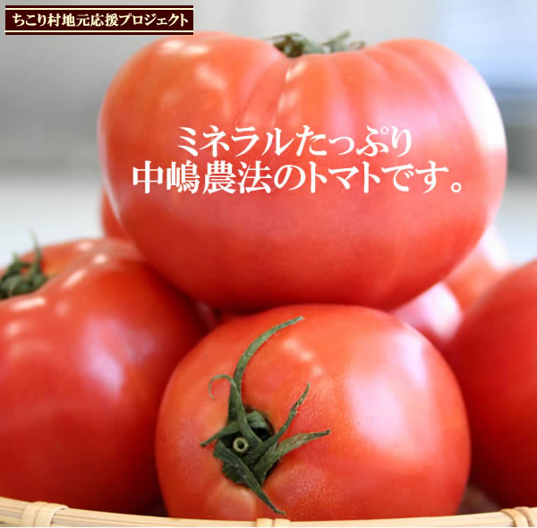加子母のトマトセット ジュース＆ケチャップ【合計5本入り】送料無料