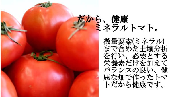 加子母のトマトセット ジュース＆ケチャップ【合計5本入り】送料無料