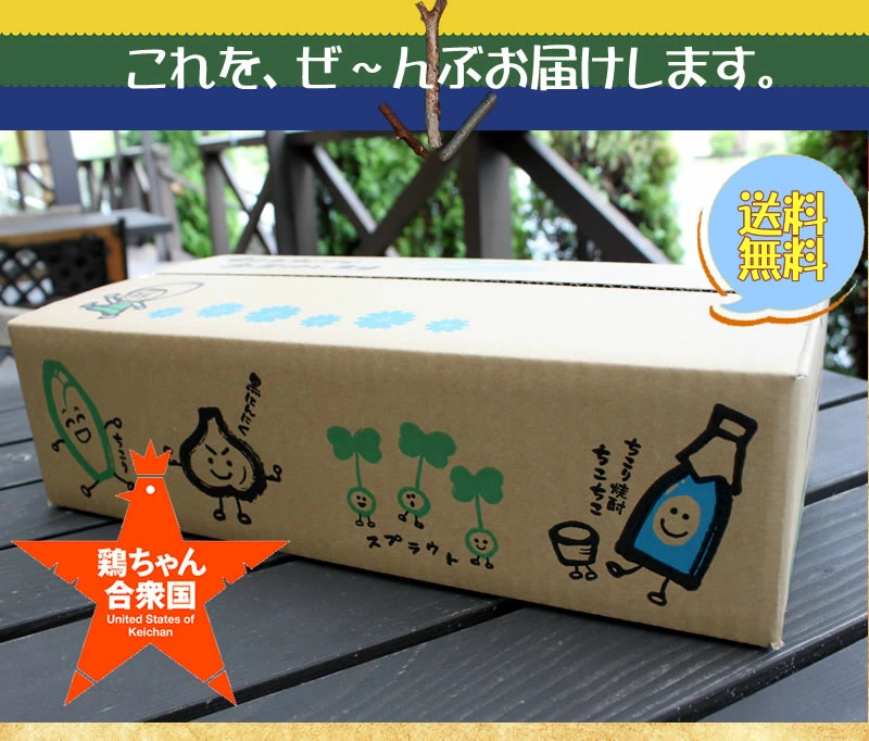 鶏ちゃん　全13州セット
