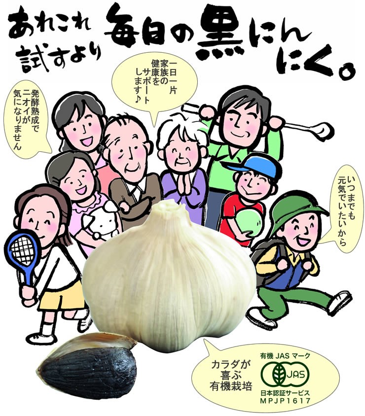 ちこり村有機 黒にんにく　５玉入り×３パック