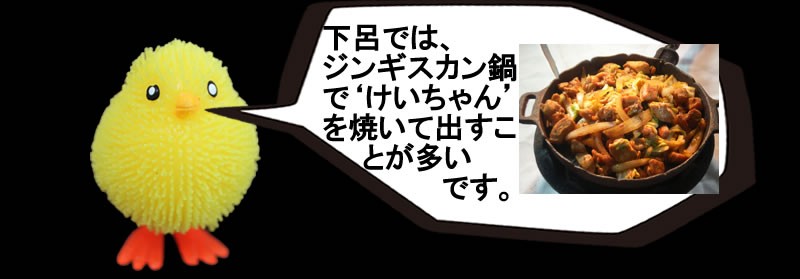 チキンディンティ・ミズホのけいちゃん
