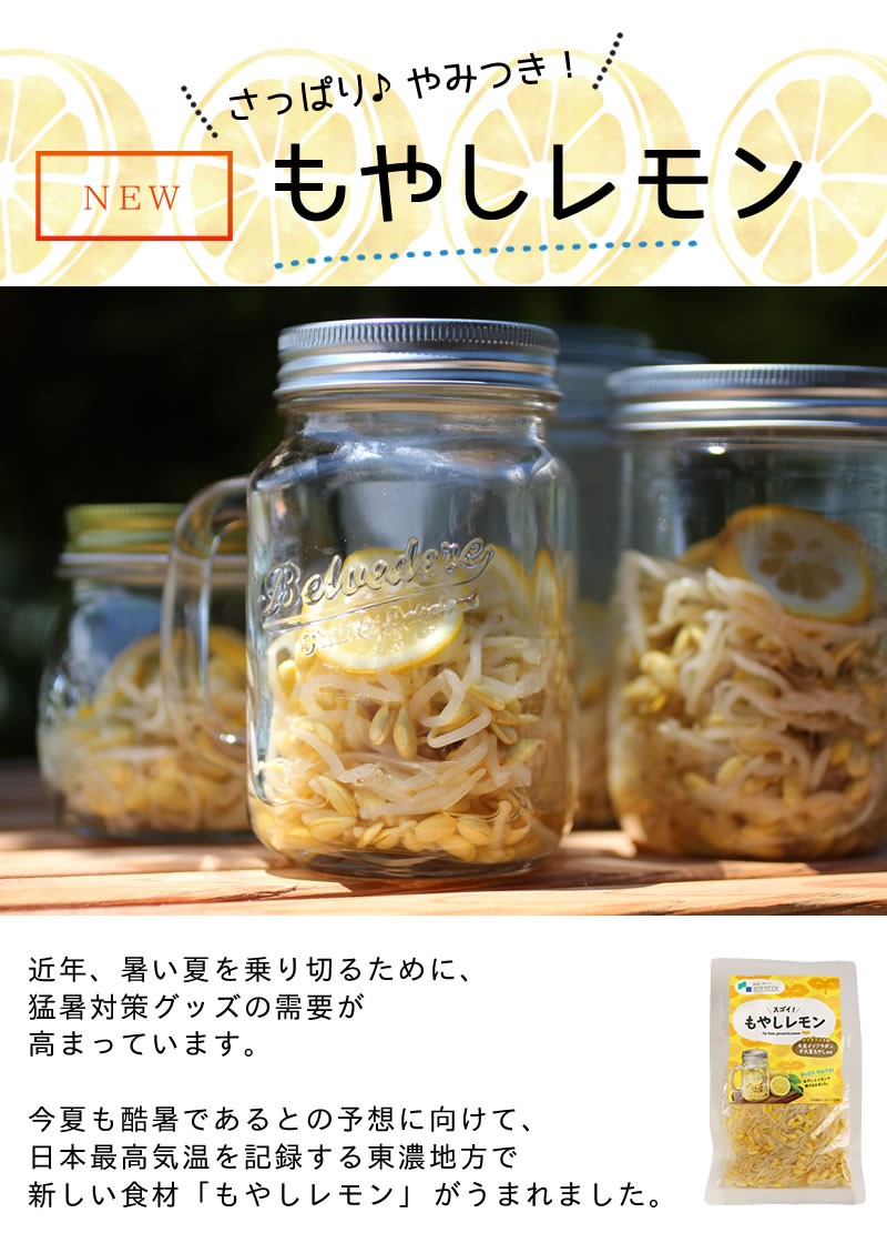 さっぱりやみつき！もやしレモン★スーパーフードマイスターも絶賛