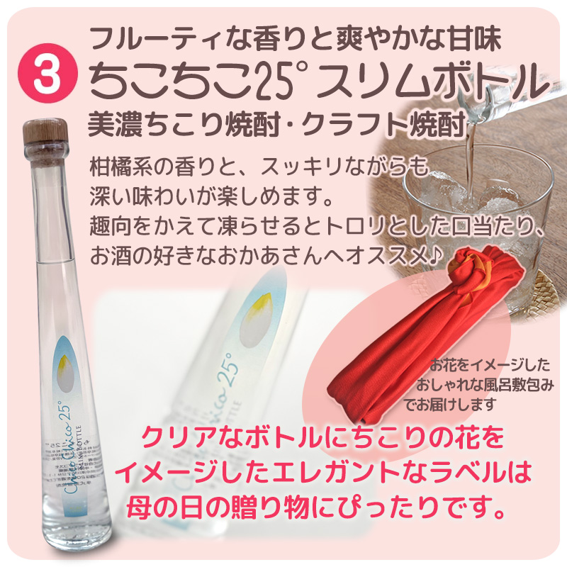 母の日 2026 ギフト 花 プレゼント カーネーション 5号鉢 選べるサプライズセット 送料無料 お届け日指定可 | ブランド登録なし | 08