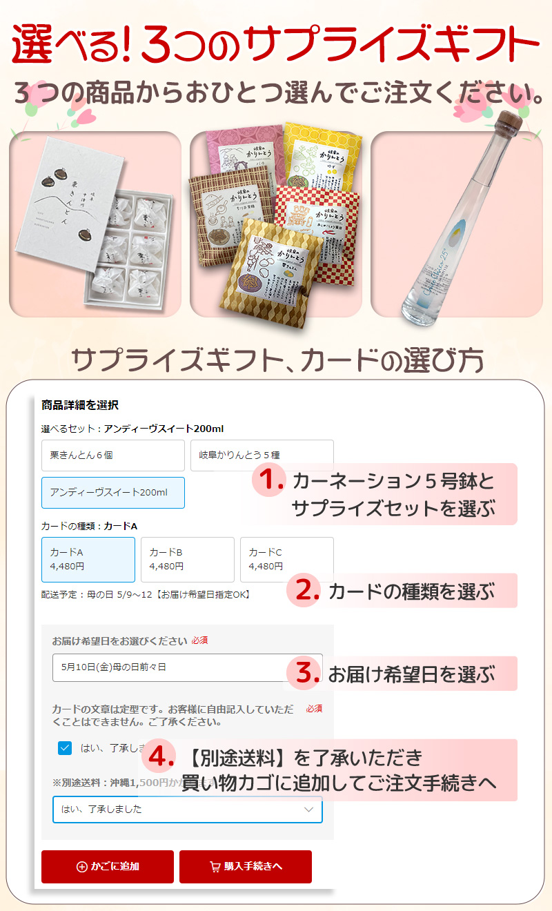 母の日 2026 ギフト 花 プレゼント カーネーション 5号鉢 選べるサプライズセット 送料無料 お届け日指定可 | ブランド登録なし | 15