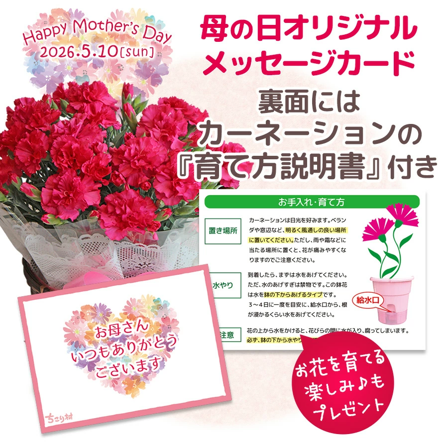 育て方説明書付き