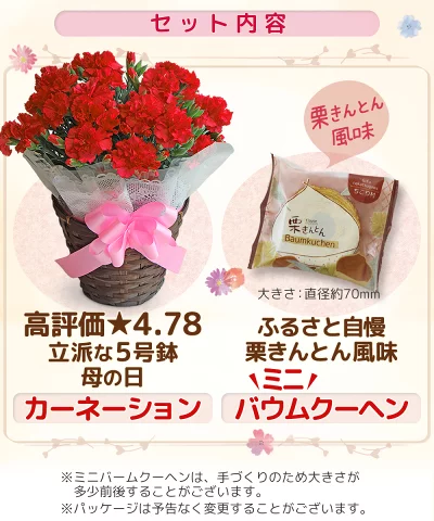 セット内容