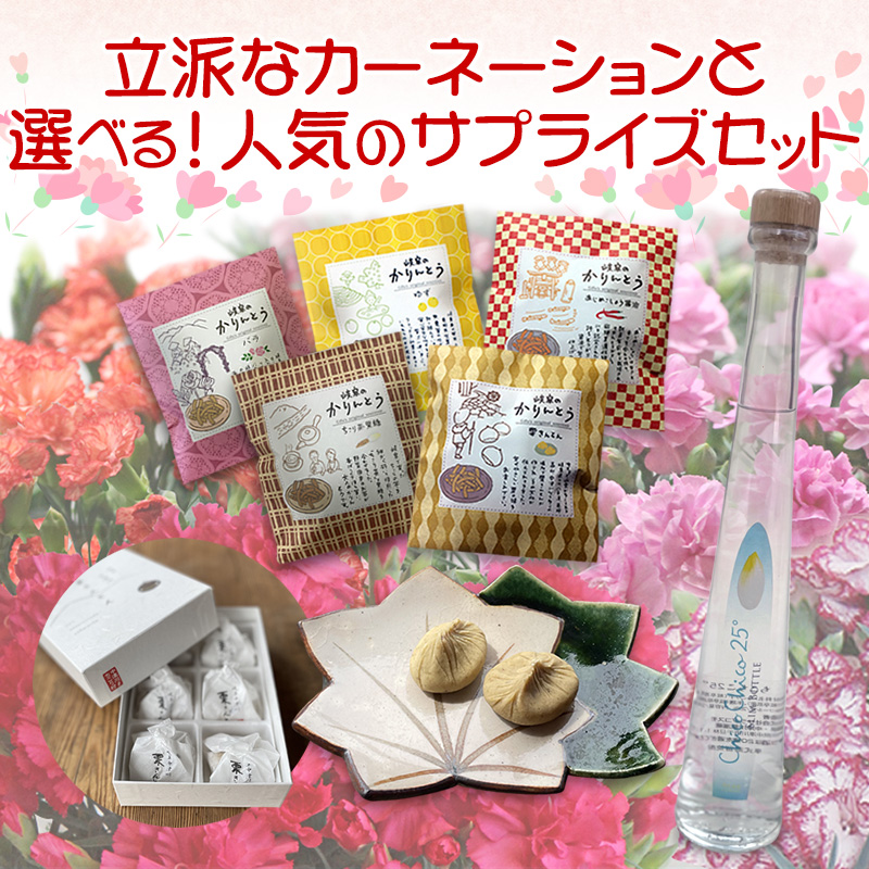 母の日 2026 ギフト 花 プレゼント カーネーション 5号鉢 選べるサプライズセット 送料無料 お届け日指定可 | ブランド登録なし | 05