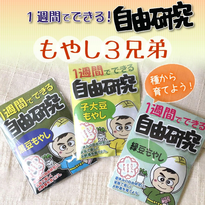 自由研究 野菜 種 スプラウト 夏休み 小学生 送料無料 もやし３兄弟を種から育てよう 緑豆 子大豆 黒豆 岐阜 中津川ちこり村 ヤフー店 通販 Yahoo ショッピング