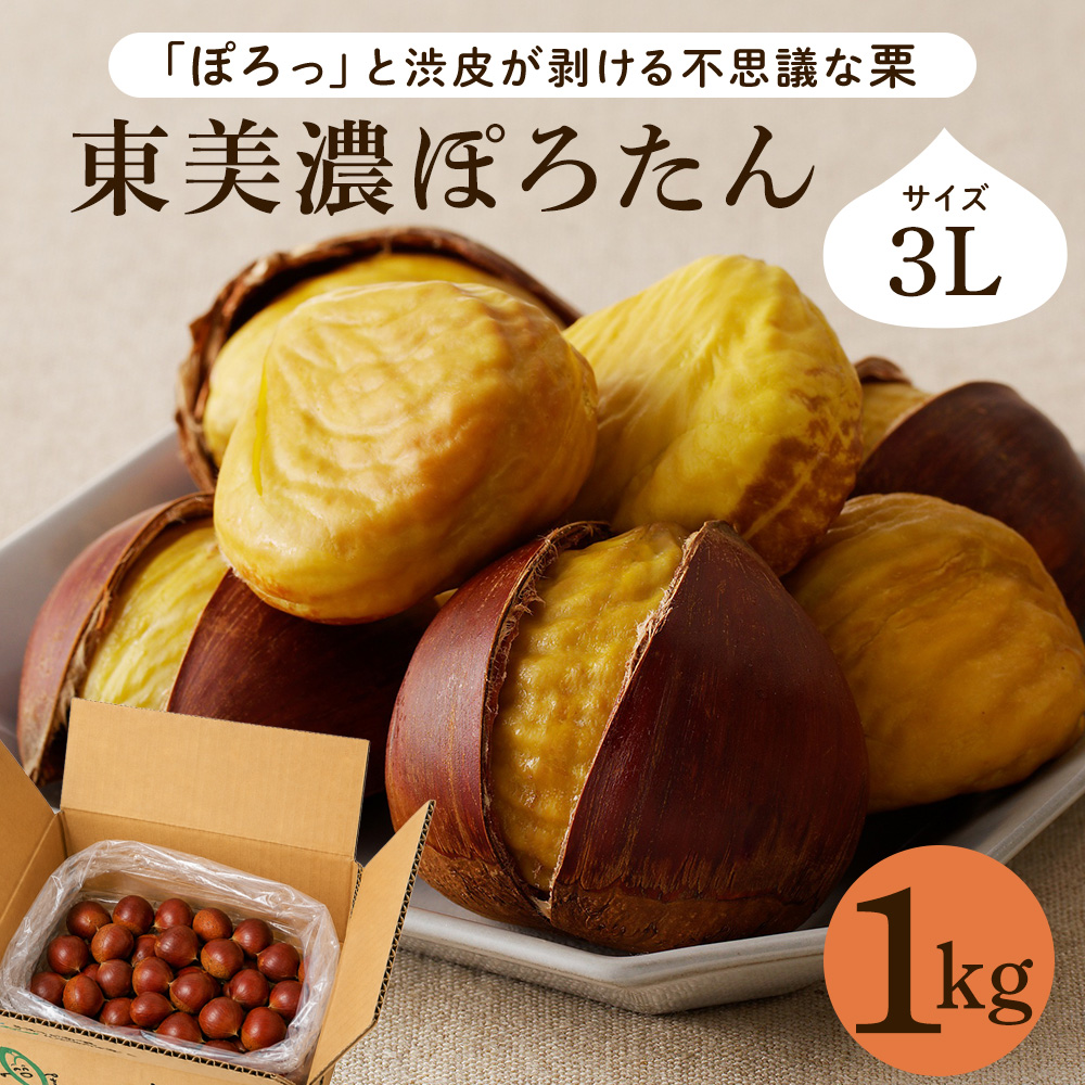 栗 生栗 東美濃ぽろたん 岐阜県産 1kg 国産 和栗 渋皮 栗ご飯 焼き栗 甘栗風 秋の味覚 旬 数量限定 2026 冷蔵 ちこり村  中津川 お取り寄せグルメ GN | ちこり村