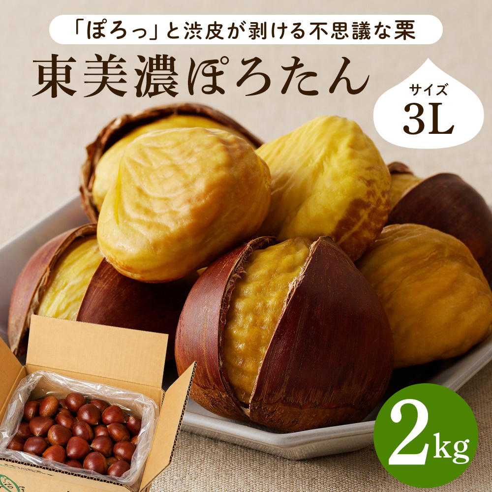 栗 生栗 東美濃ぽろたん 岐阜県産 2kg 国産 和栗 渋皮 栗ご飯 焼き栗 甘栗風 秋の味覚 旬 数量限定 2026 冷蔵 ちこり村  中津川 お取り寄せグルメ GN | ちこり村