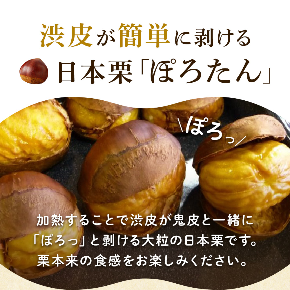 栗 生栗 東美濃ぽろたん 岐阜県産 1kg 国産 和栗 渋皮 栗ご飯 焼き栗 甘栗風 秋の味覚 旬 数量限定 2026 冷蔵 ちこり村 中津川 お取り寄せグルメ GN 関連画像3