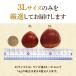 栗 生栗 東美濃ぽろたん 岐阜県産 1kg 国産 和栗 渋皮 栗ご飯 焼き栗 甘栗風 秋の味覚 旬 数量限定 2026 冷蔵 ちこり村 中津川 お取り寄せグルメ GN 関連画像5