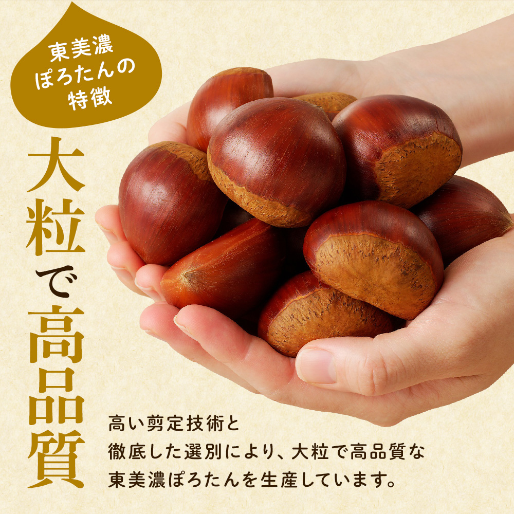 栗 生栗 東美濃ぽろたん 岐阜県産 1kg 国産 和栗 渋皮 栗ご飯 焼き栗 甘栗風 秋の味覚 旬 数量限定 2026 冷蔵 ちこり村 中津川 お取り寄せグルメ GN 関連画像4