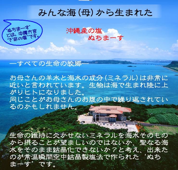 化学調味料不使用●命の塩ぬちまーす使用「ちこり村の玉ねぎスープ」