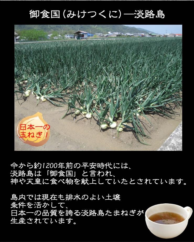 化学調味料不使用●命の塩ぬちまーす使用「ちこり村の玉ねぎスープ」