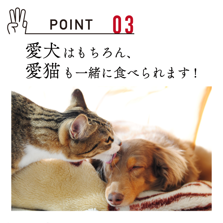 ささみジャーキー 犬 おやつ 無添加 国産 低脂肪 鶏肉 ジャーキー