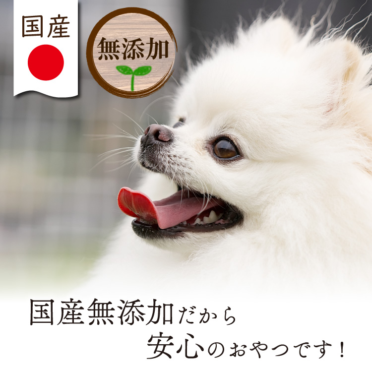 ささみジャーキー 犬 おやつ 無添加 国産 低脂肪 鶏肉 ジャーキー