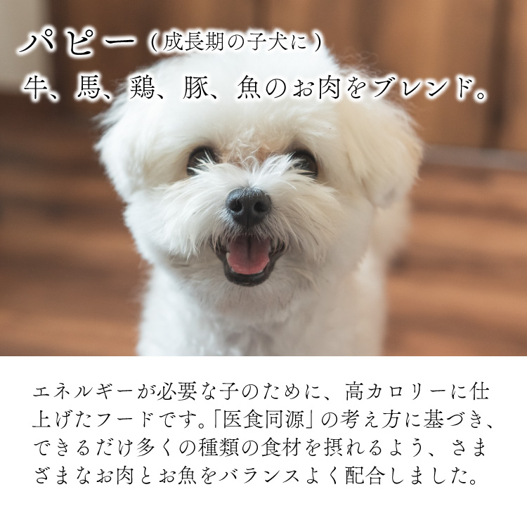 CHEFDOG シェフドッグ パピー 800g ドッグフード アレルギー 国産 日本