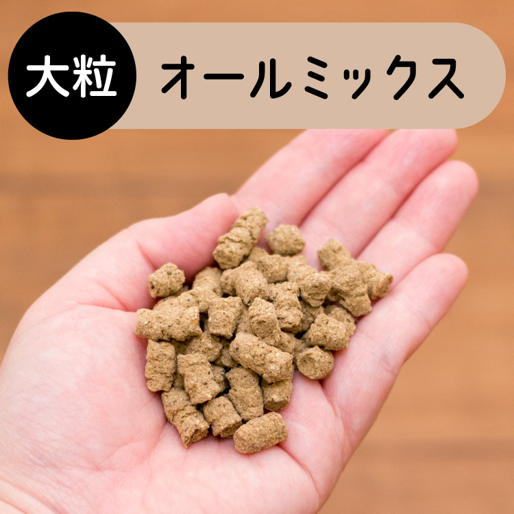 ドッグフード お試し 無添加 国産 グルテンフリー ドライフード 子犬 成犬 シニア パピー 餌 シェフドッグ CHEFDOG 250g | CHEFDOG | 09