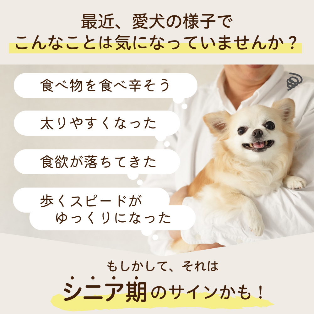 無添加ドッグフード安心本舗　500g×8袋　小粒シニア犬幼犬　どらいフード 無添加ドッグフード安心本舗 500g×8袋 小粒シニア犬幼犬 どらいフード